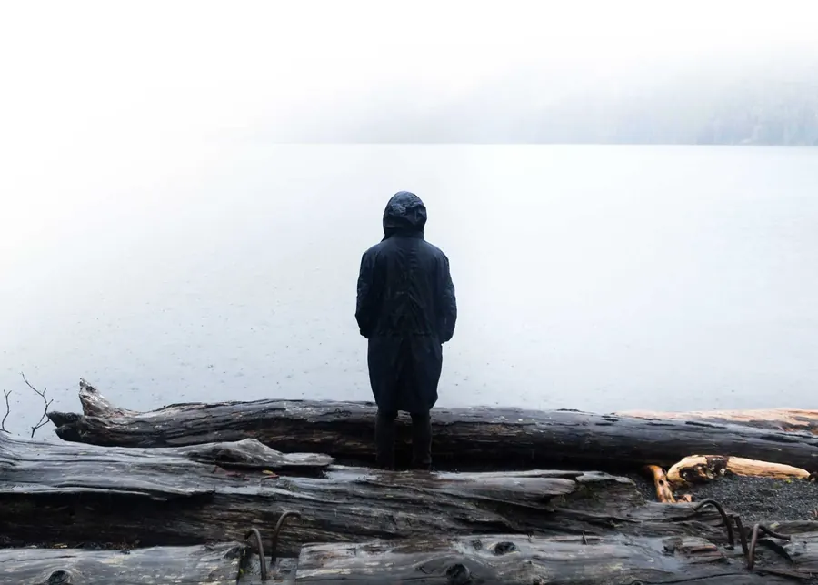 Person in a dark hooded jacket standing on a driftwood log at the edge of a misty gray lake