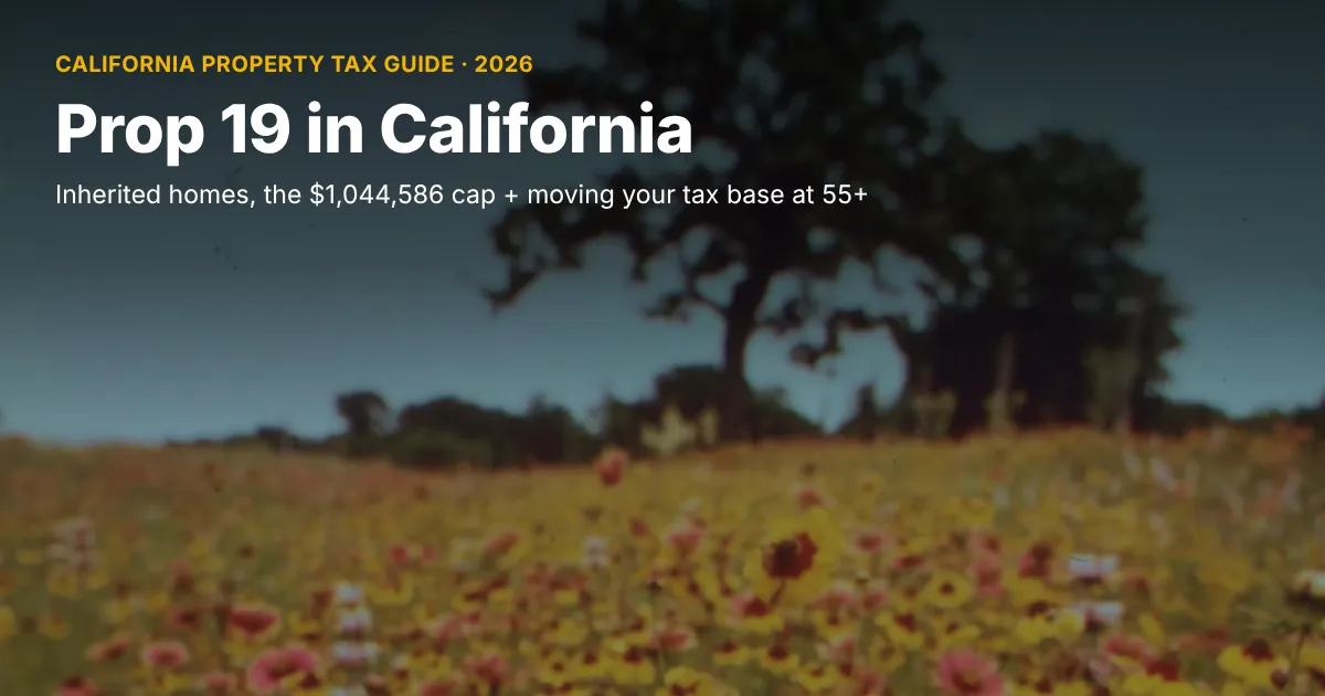Lone oak tree behind a meadow of red and yellow wildflowers under a dark sky, cover photo for a guide to Prop 19 in California