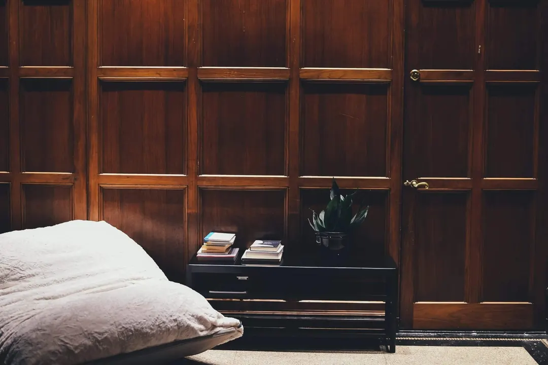 Wood-paneled room with a large floor cushion, a low black cabinet with books, and a small potted plant
