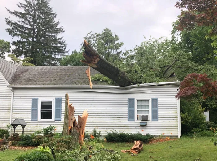 House with a fallen tree crushing the roof and gutter, the kind of damage that leads to repair requests and credits when selling